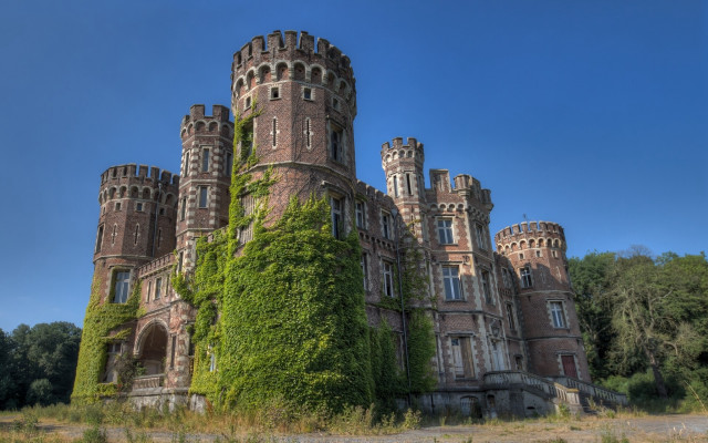 Castle ivy brick blue sky free wallpaper - medium preview image