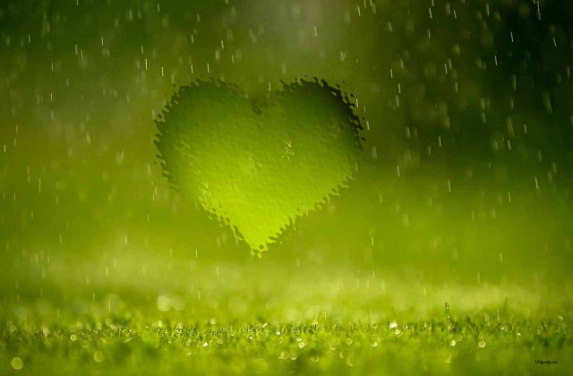 Heart shaped green grass rain free wallpaper - medium preview image