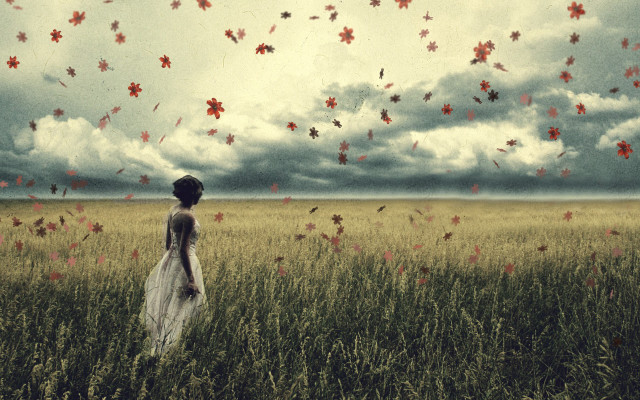 Woman field clouds leaves beach free wallpaper - medium preview image