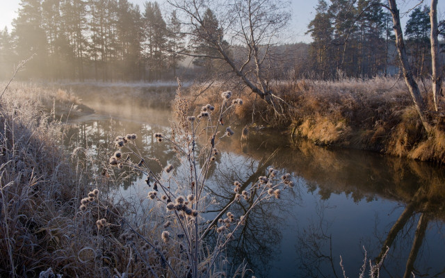 River trees grass foggy sky free wallpaper - medium preview image