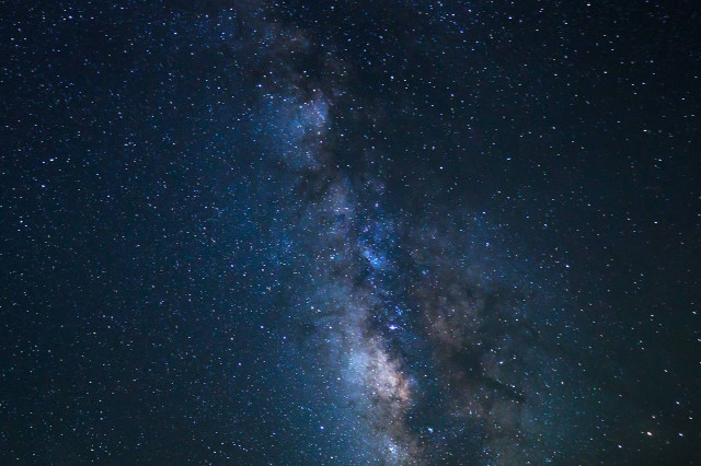 Night sky stars trees foreground #7 free wallpaper - medium preview image