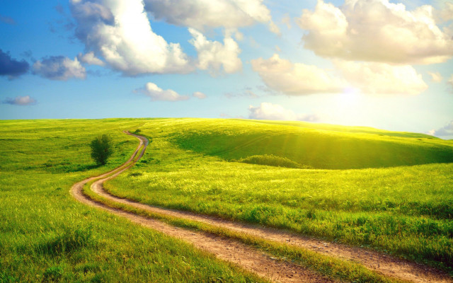 Dirt road green field blue free wallpaper - medium preview image