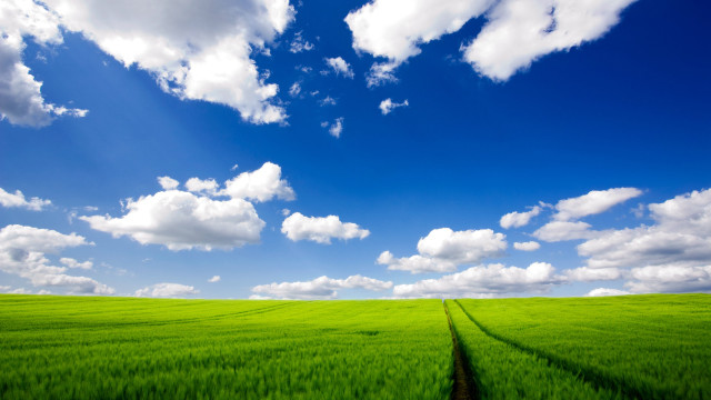 Green field sky clouds background #3 free wallpaper - medium preview image