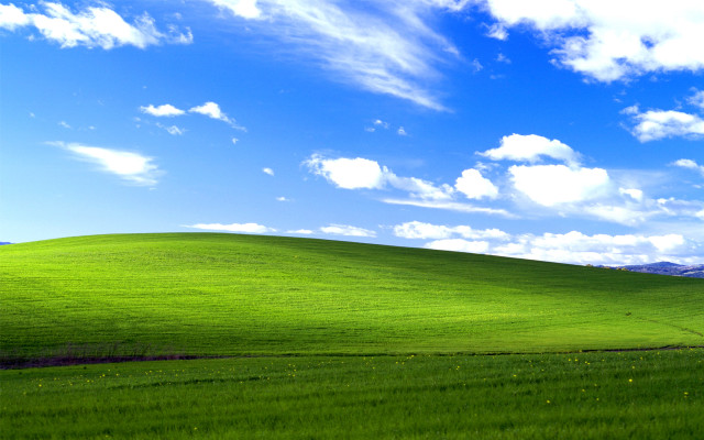 Green field blue sky horse free wallpaper - medium preview image