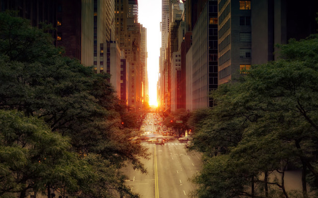 City street trees skyscraper sunset free wallpaper - medium preview image
