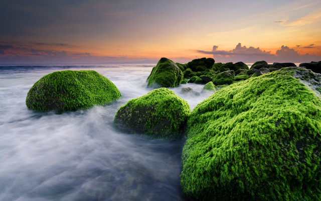 Mossy rocks ocean sunset cloudy free wallpaper - medium preview image