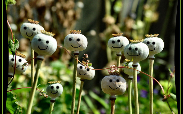 Plants faces garden surrealist 3d free wallpaper - medium preview image