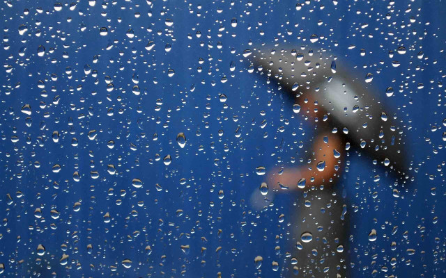 Rainy blue wall umbrella cherry free wallpaper - medium preview image