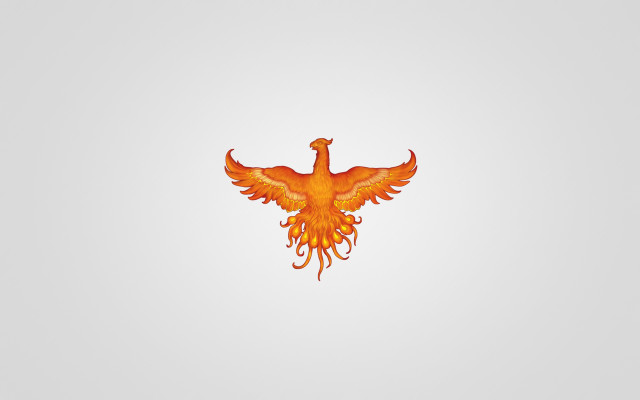 Bird orange wings flying gradient free wallpaper - medium preview image