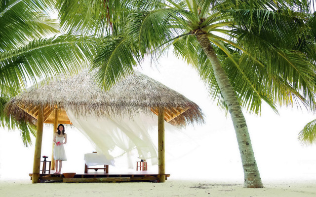 Woman beach palm tree bed free wallpaper - medium preview image