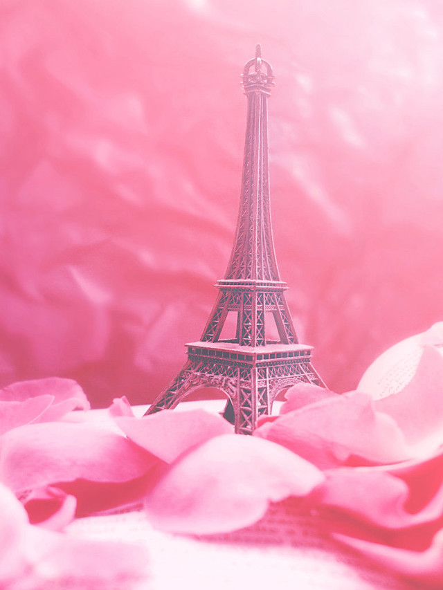 Pink eiffel tower paris petals free wallpaper - medium preview image