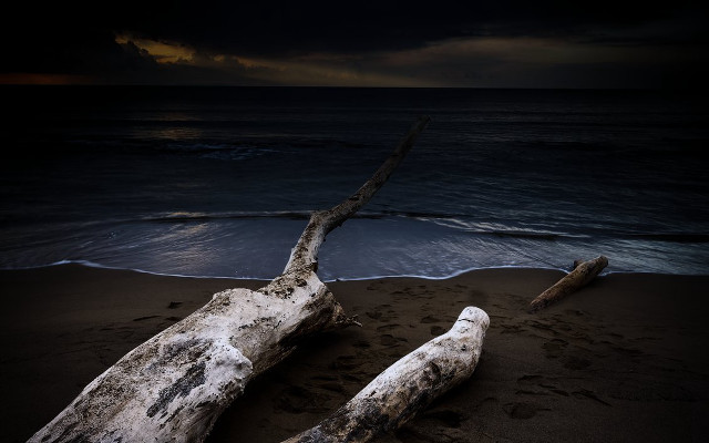 Fallen tree beach dark sky free wallpaper - medium preview image