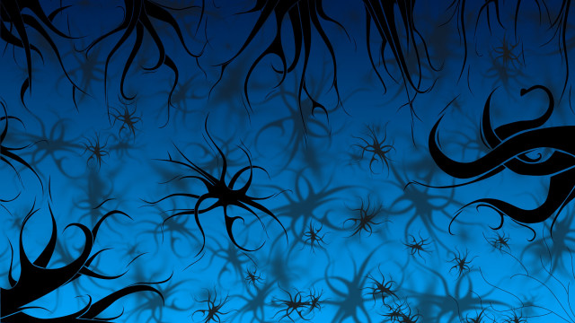Blue sky bamboo trees moon free wallpaper - medium preview image