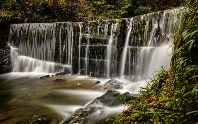 Waterfall forest city light rays free wallpaper - medium preview image
