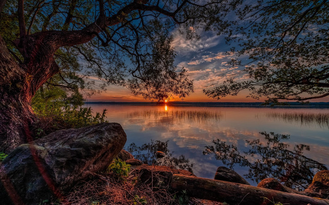 Sunset lake tree rock autumn free wallpaper - medium preview image