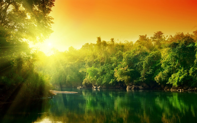 River boat trees sunlight nature free wallpaper - medium preview image