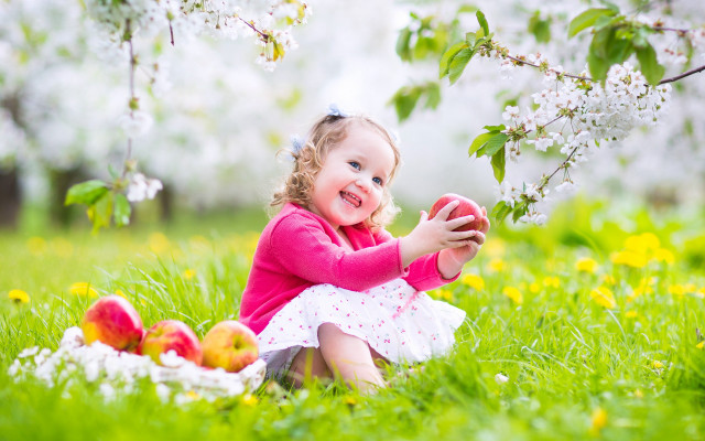 Little girl sitting grass apples free wallpaper - medium preview image
