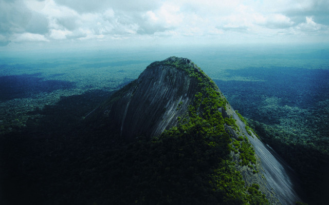 Tall green mountain forest cloudy free wallpaper - medium preview image