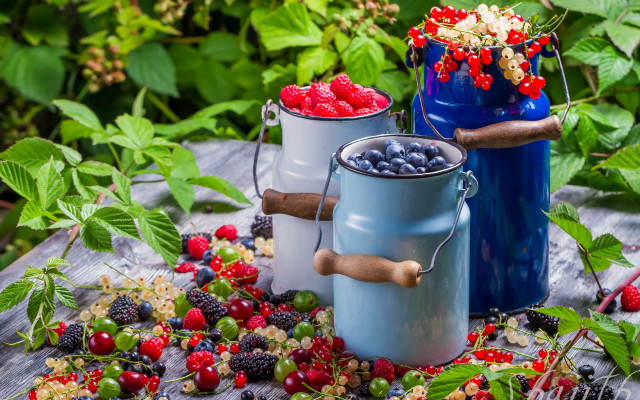 Berries table leaves blue bucket free wallpaper - medium preview image