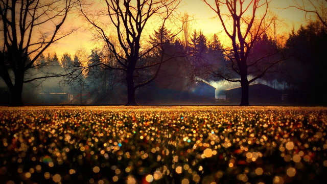 Field trees barn sunset light free wallpaper - medium preview image
