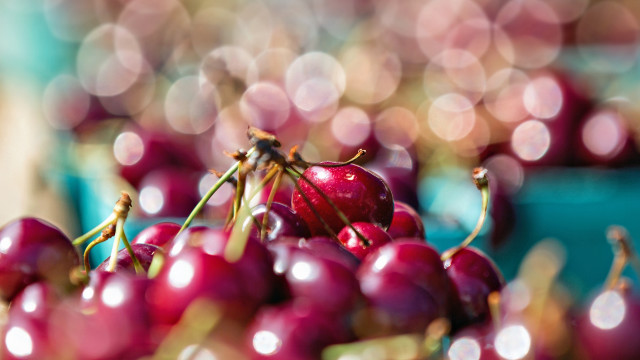 Cherry bowl water drops precisionism free wallpaper - medium preview image