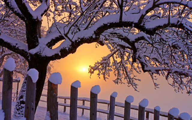 Fence snow tree sunset autumn free wallpaper - medium preview image