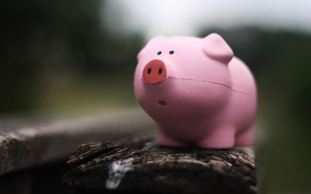 Pink pig wooden fence post free wallpaper - medium preview image