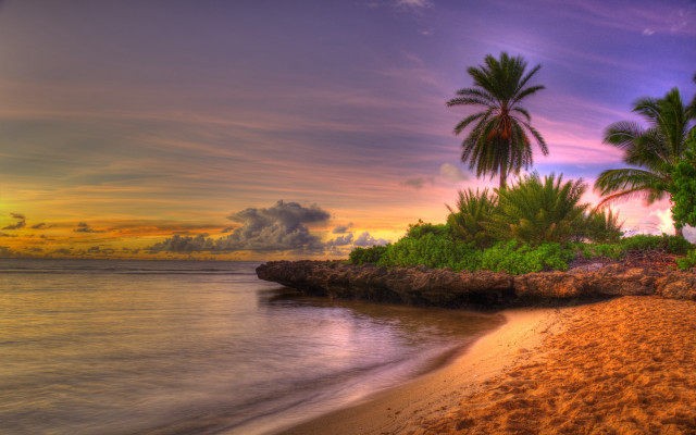 Beach palm trees sunset mountain free wallpaper - medium preview image