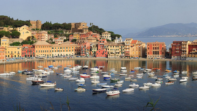 Harbor boats city hills trees free wallpaper - medium preview image
