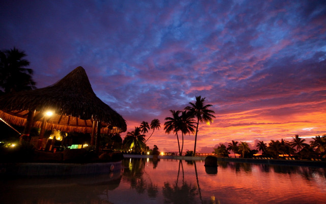Sunset resort pool palm trees free wallpaper - medium preview image