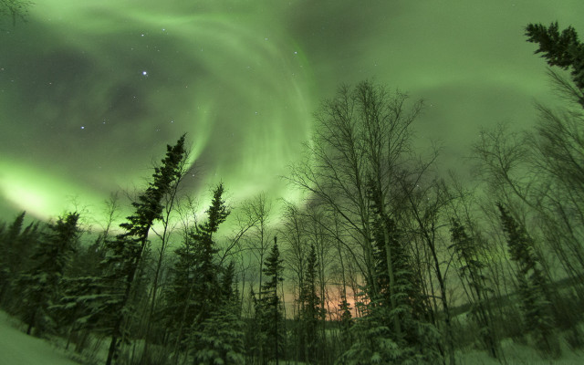 Aurora boreal forest snow stars free wallpaper - medium preview image