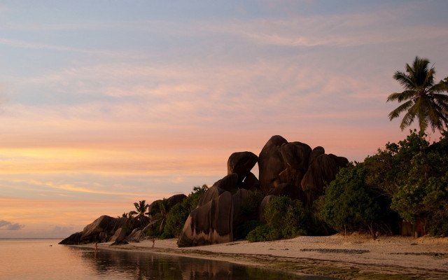 Elephants beach sunset palm trees free wallpaper - medium preview image