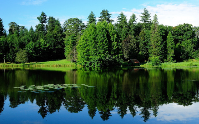 Lake forest bench lily pads free wallpaper - medium preview image