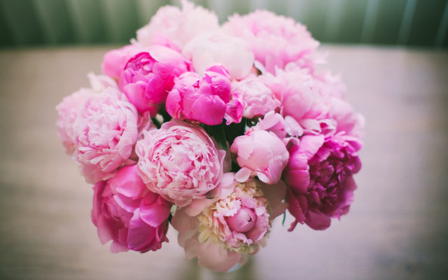 Pink flowers vase still life free wallpaper - medium preview image