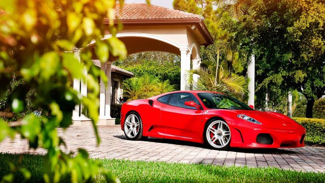 Red sports car palm tree free wallpaper - medium preview image