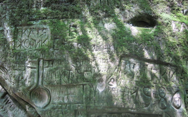 Rock writing treehole spoon forest free wallpaper - medium preview image