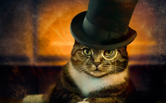 Cat top hat glasses steampunk free wallpaper - medium preview image