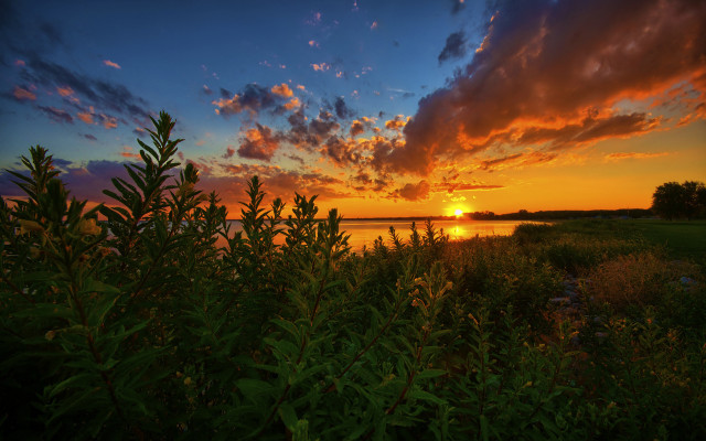Sunset water clouds trees horizon free wallpaper - medium preview image
