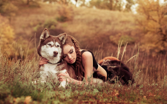 Woman husky autumn nature photorealistic free wallpaper - medium preview image