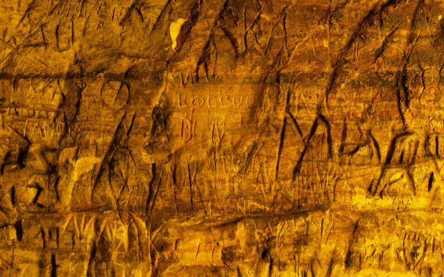 Rock face cracks trees autumn free wallpaper - medium preview image