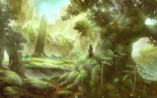 Fantasy forest man rock matte free wallpaper - medium preview image