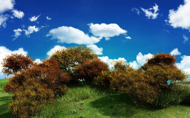 Grassy field trees blue sky free wallpaper - medium preview image