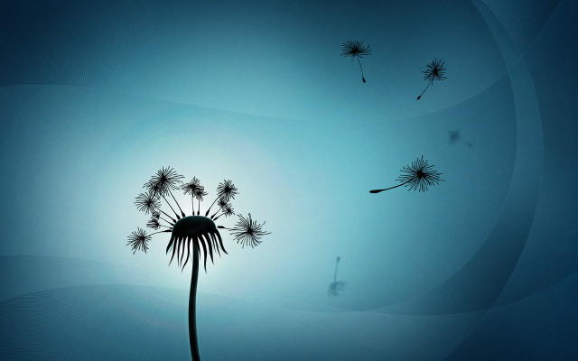 Dandelion wind blue sky person free wallpaper - medium preview image