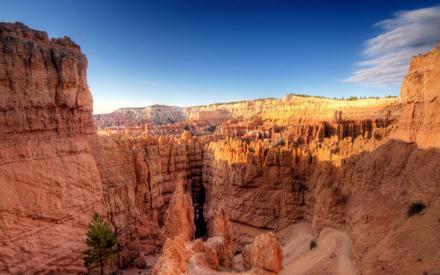 Canyon trees mountain bridge cityscape free wallpaper - medium preview image