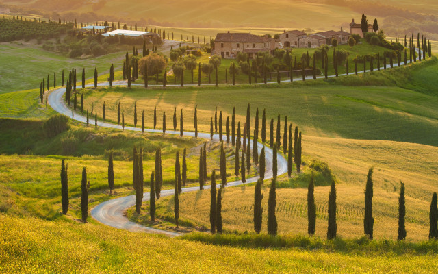Winding road green field house free wallpaper - medium preview image