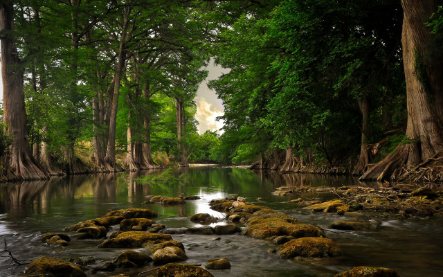 Mossy rocks river forest nature free wallpaper - medium preview image