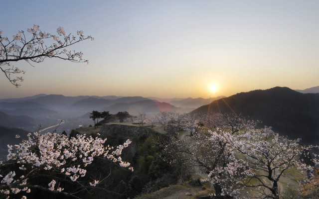Sunset mountain blooming tree valley free wallpaper - medium preview image