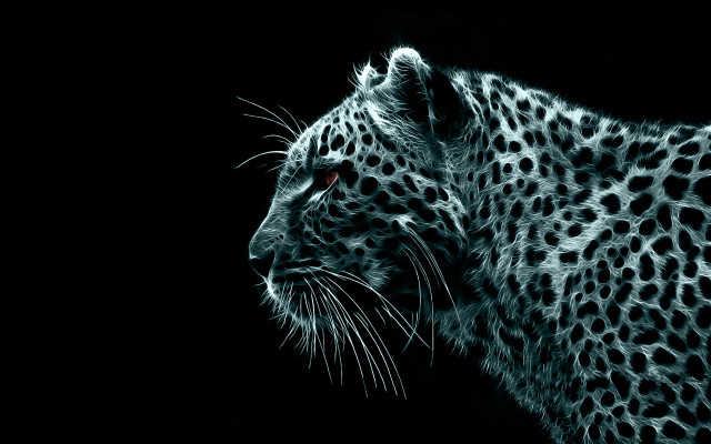 Leopard red eyes monochrome digital free wallpaper - medium preview image
