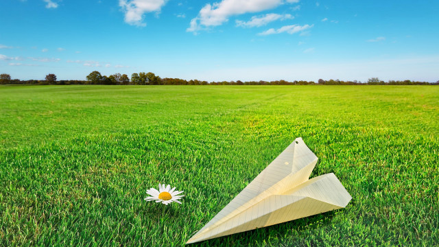 Paper airplane flower daisy grass free wallpaper - medium preview image