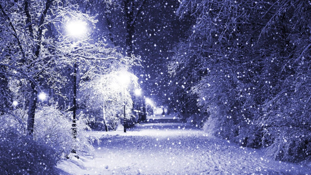 Snowy path street lights trees free wallpaper - medium preview image